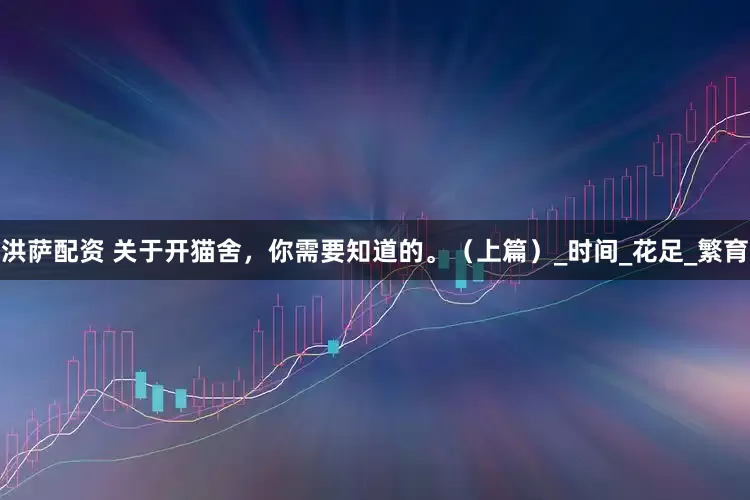 洪萨配资 关于开猫舍，你需要知道的。（上篇）_时间_花足_繁育