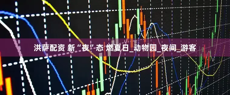 洪萨配资 新“夜”态 燃夏日_动物园_夜间_游客