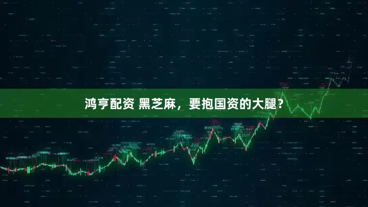 鸿亨配资 黑芝麻，要抱国资的大腿？